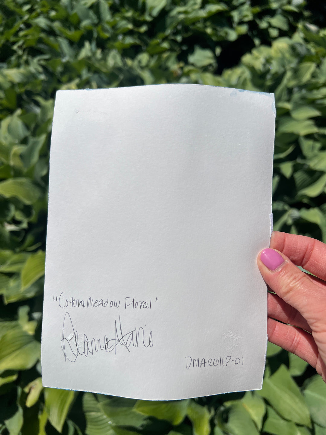Cotton Meadow Floral 6x8 On Paper